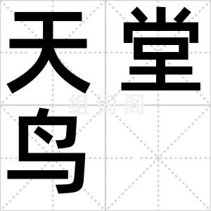 天堂鸟