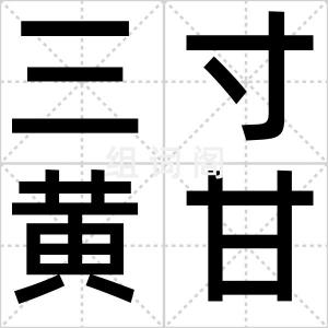 三寸黄甘