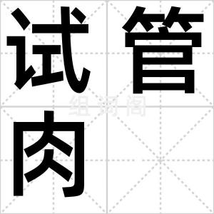 试管肉