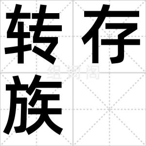 转存族
