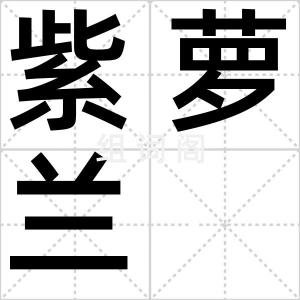 紫萝兰