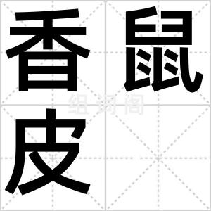 香鼠皮