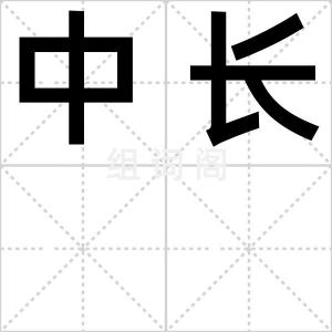 中长