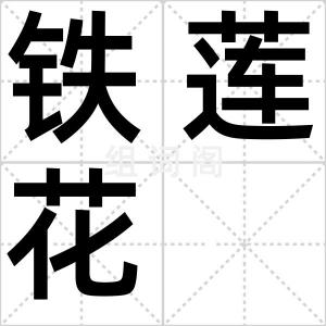 铁莲花