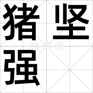 猪坚强