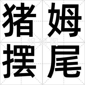 猪姆摆尾利