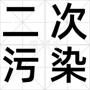 二次污染物