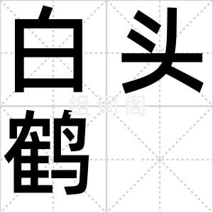 白头鹤