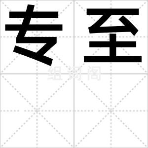 专至
