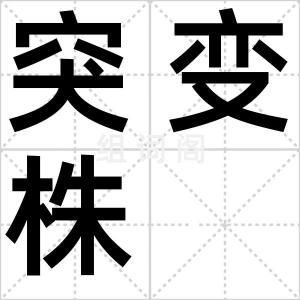突变株