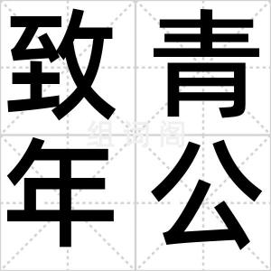 致青年公民