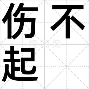 伤不起