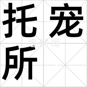 托宠所