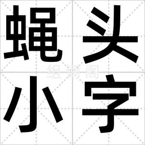 蝇头小字