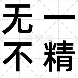 无一不精