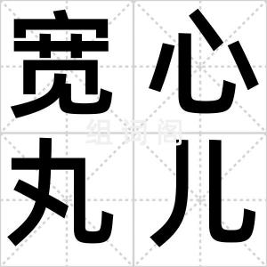 宽心丸儿