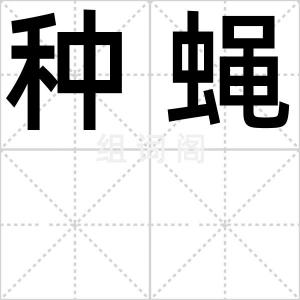 种蝇