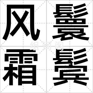 风鬟霜鬓
