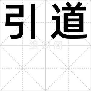 引道