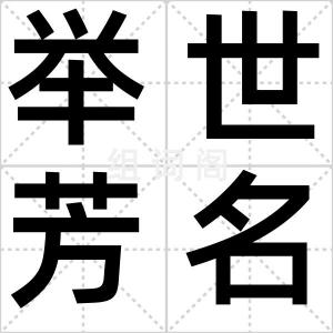 举世芳名