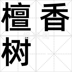檀香树