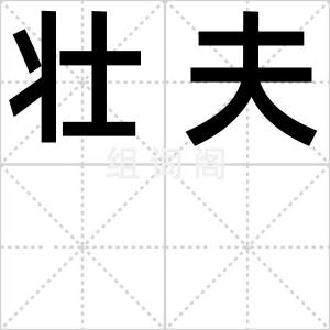 壮夫