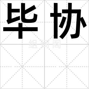 毕协