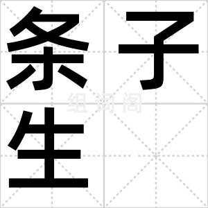 条子生
