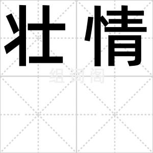 壮情