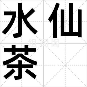 水仙茶