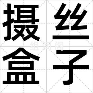 摄丝盒子