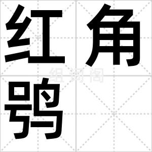 红角鸮