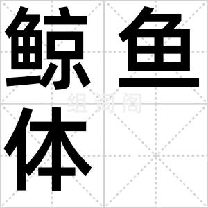 鲸鱼体