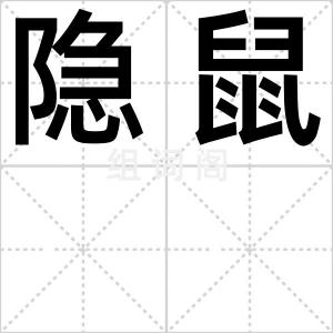 隐鼠