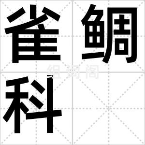 雀鲷科