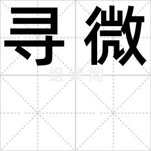 寻微