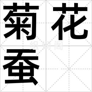 菊花蚕