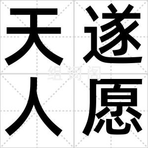 天遂人愿