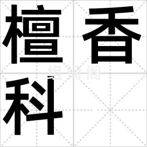 檀香科