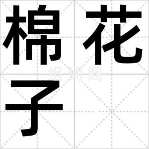 棉花子