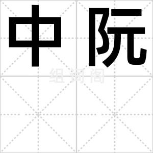 中阮