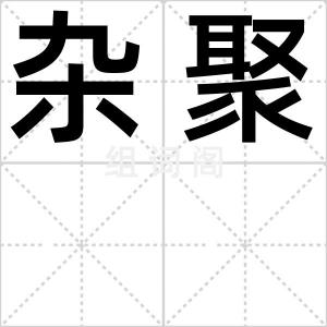 杂聚