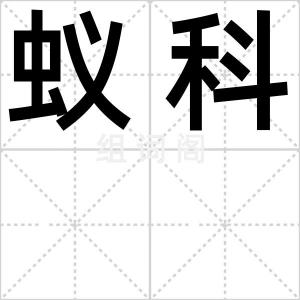 蚁科