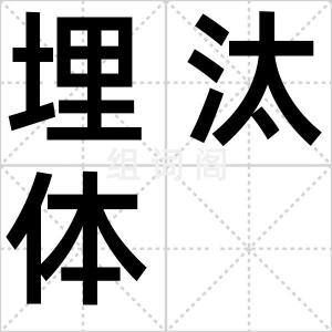 埋汰体