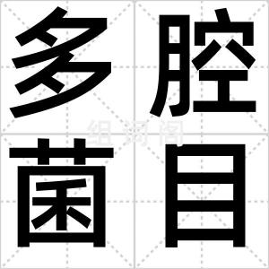 多腔菌目