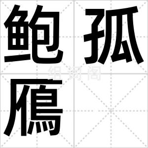 鲍孤鴈