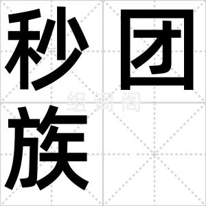 秒团族