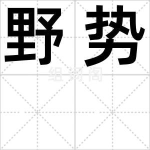 野势