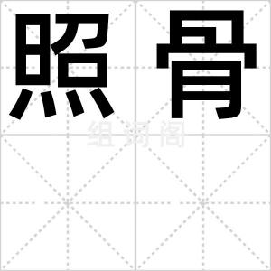 照骨