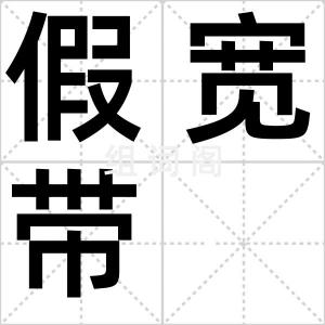 假宽带